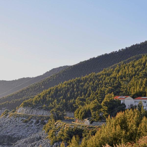 Villa Victor Babino Polje Eksteriør billede