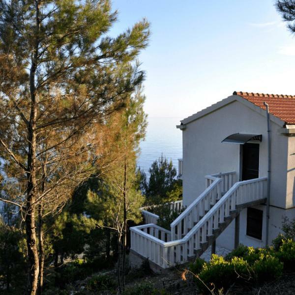 Villa Victor Babino Polje Eksteriør billede